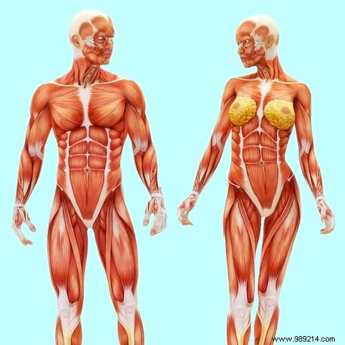 10 Science-Backed Benefits of Walking Every Day for Your Body and Mind