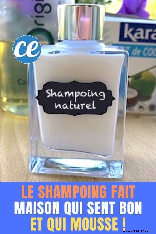 My Go-To Homemade Foaming Shampoo Recipe with Coconut Milk – Ready in 1 Minute