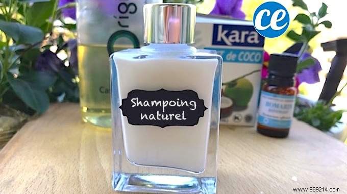 My Go-To Homemade Foaming Shampoo Recipe with Coconut Milk – Ready in 1 Minute