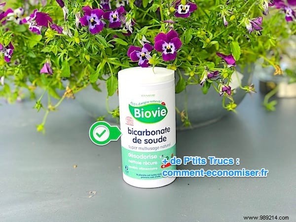 Baking Soda: A Proven Natural Deodorant Alternative That s Incredibly Affordable