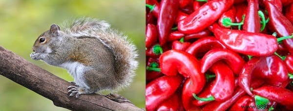 17 Timeless Grandma Hacks That Actually Work Wonders