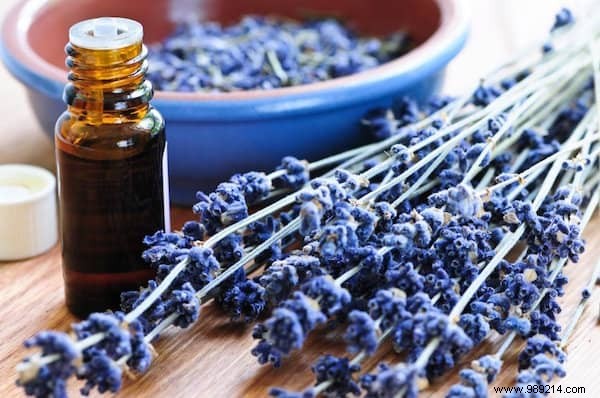 21 Expert Essential Oil Uses for Health, Home, and Garden
