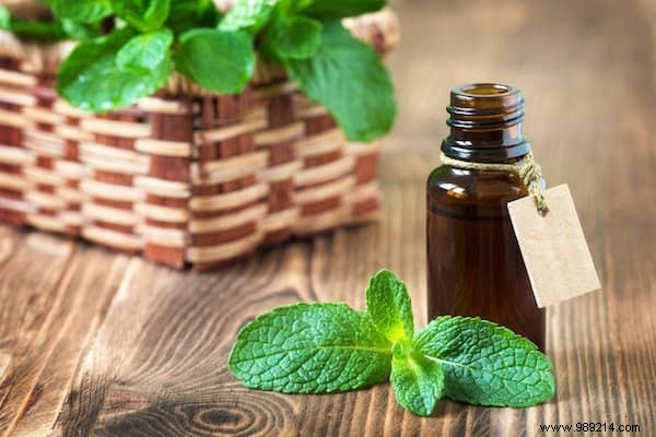 21 Expert Essential Oil Uses for Health, Home, and Garden