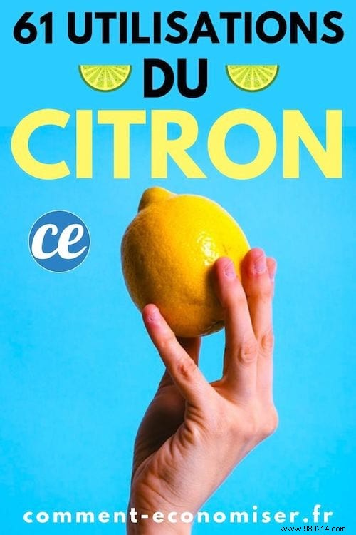 61 Practical Lemon Uses for Cleaning, Health, Beauty, and Home Care