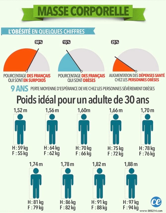 Top 10 Low-Calorie Foods to Support Easy, Sustainable Weight Loss