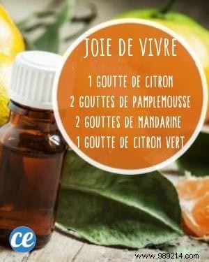 10 Proven Essential Oil Diffuser Blends for Everyday Wellness