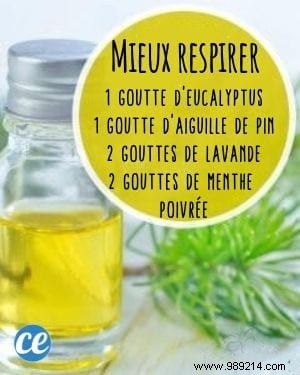 10 Proven Essential Oil Diffuser Blends for Everyday Wellness