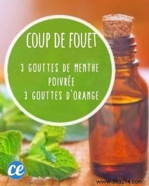 10 Proven Essential Oil Diffuser Blends for Everyday Wellness