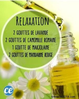 10 Proven Essential Oil Diffuser Blends for Everyday Wellness