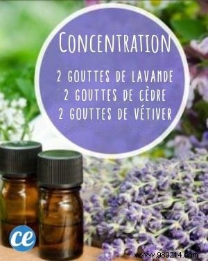 10 Proven Essential Oil Diffuser Blends for Everyday Wellness