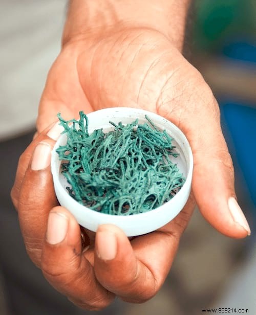 10 Scientifically Proven Health Benefits of Spirulina