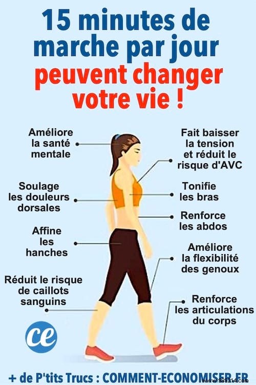 How 15 Minutes of Daily Walking Can Transform Your Health: Evidence from Global Studies