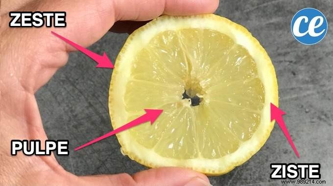Lemon: Nothing Goes to Waste – Expert Uses for Peel, Zest, Juice, and More