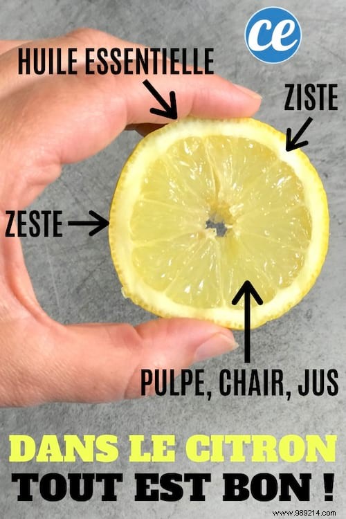 Lemon: Nothing Goes to Waste – Expert Uses for Peel, Zest, Juice, and More