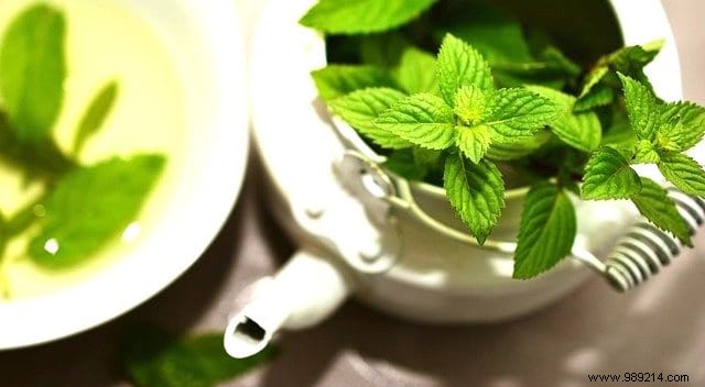 15 Science-Backed Teas and Infusions for Better Health