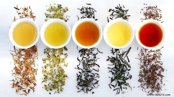 Top 10 Teas and Herbal Infusions: Science-Backed Health Benefits
