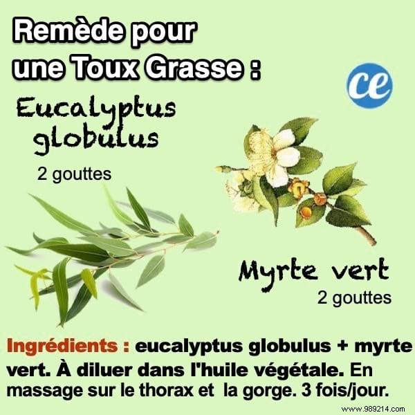 Proven Natural Remedy: Essential Oil Massage to Clear Wet Coughs Without Medication