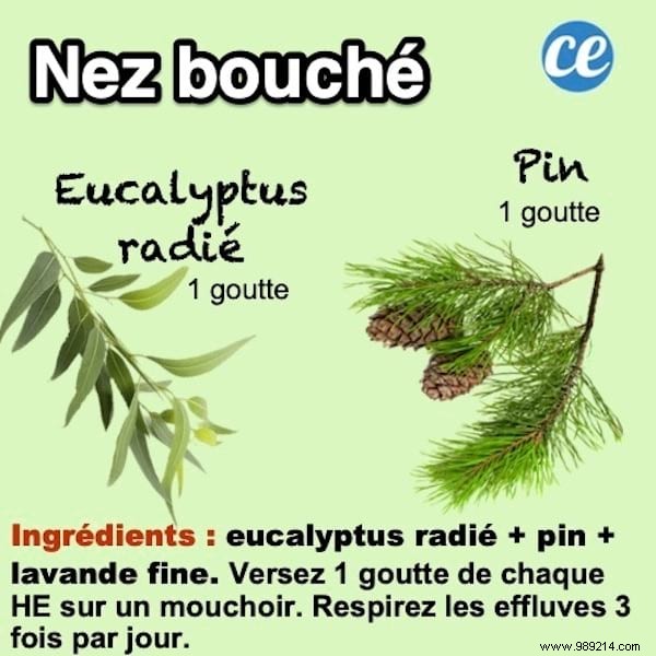 Natural Essential Oil Blend to Quickly Clear a Stuffy Nose