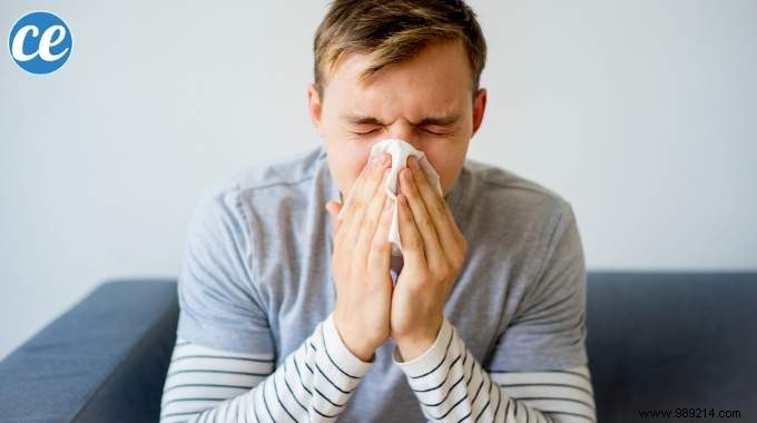 Natural Essential Oil Blend to Quickly Clear a Stuffy Nose