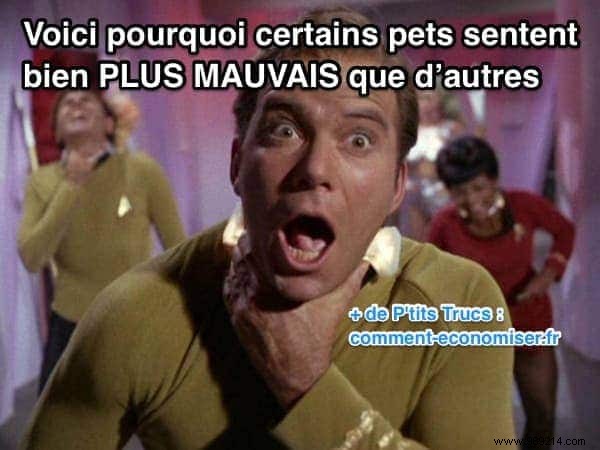 Why Do Some Farts Smell Worse Than Others? Insights from Gastroenterologist Dr. Myron Brand