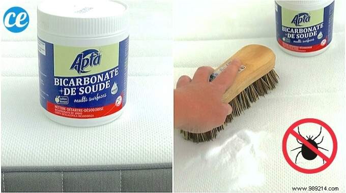 How to Permanently Eliminate Dust Mites from Your Mattress: Proven Baking Soda Method