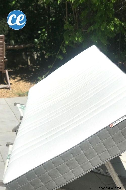 How to Permanently Eliminate Dust Mites from Your Mattress: Proven Baking Soda Method