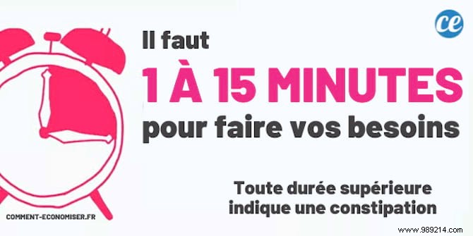 What Your Stool Reveals About Your Health: Color, Shape, Size, and Bristol Scale Explained