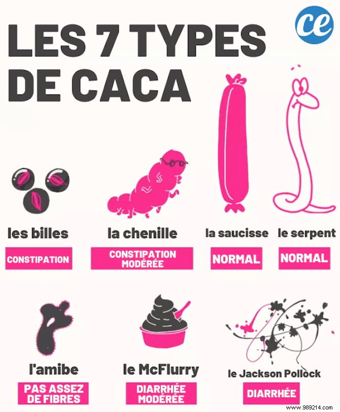 What Your Stool Reveals About Your Health: Color, Shape, Size, and Bristol Scale Explained