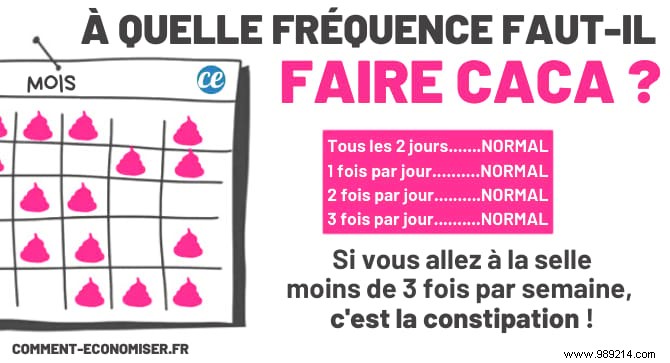 What Your Stool Reveals About Your Health: Color, Shape, Size, and Bristol Scale Explained