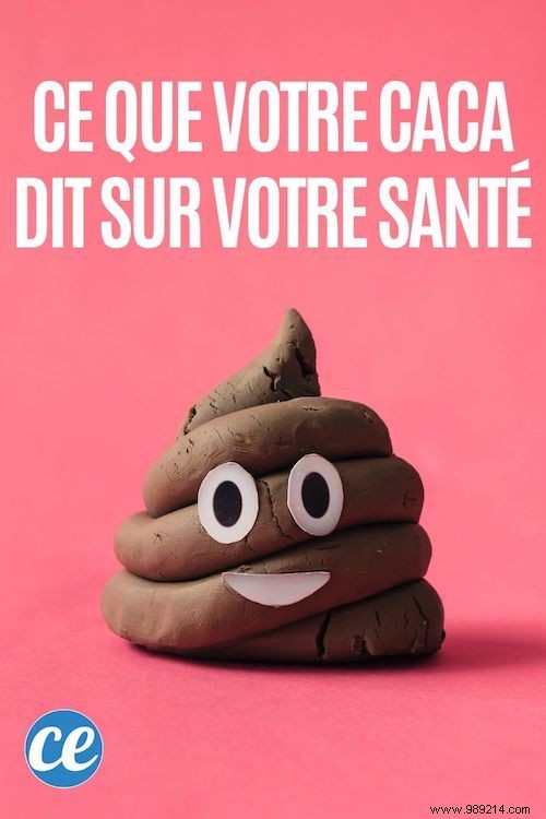 What Your Stool Reveals About Your Health: Color, Shape, Size, and Bristol Scale Explained