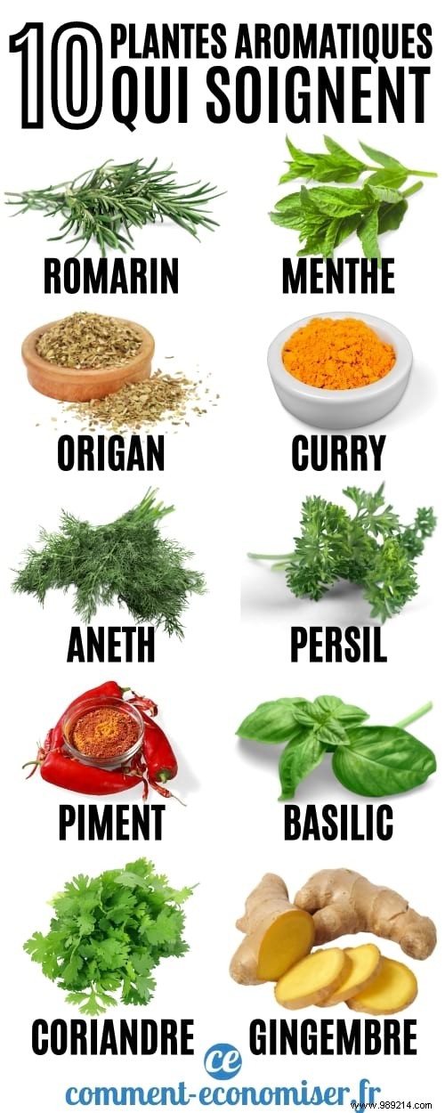 10 Science-Backed Healing Herbs: Choose the Right One for Your Symptoms