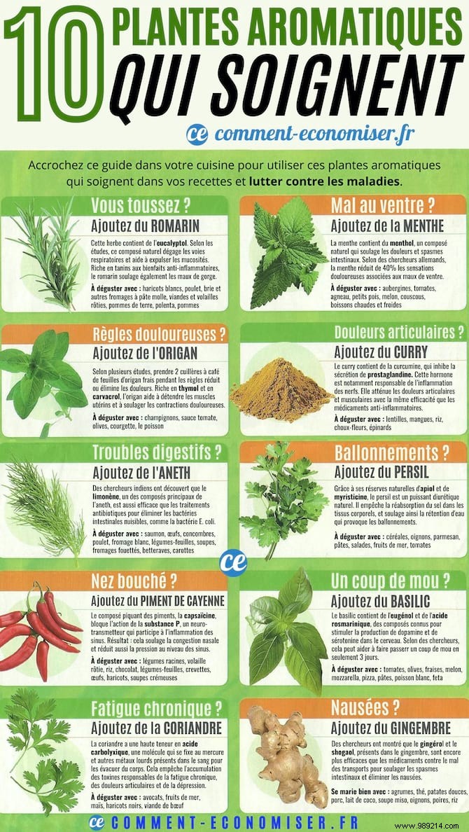 10 Science-Backed Healing Herbs: Choose the Right One for Your Symptoms