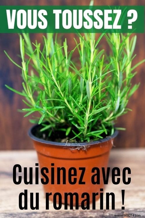 10 Science-Backed Healing Herbs: Choose the Right One for Your Symptoms