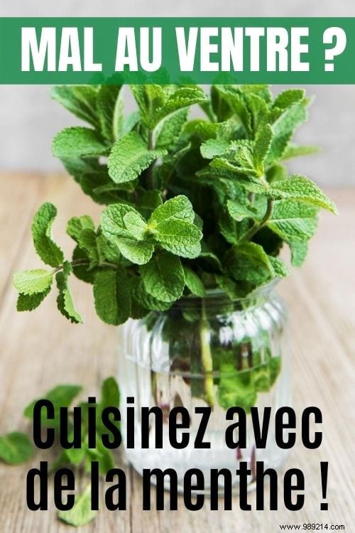 10 Science-Backed Healing Herbs: Choose the Right One for Your Symptoms