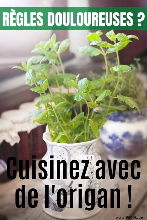 10 Science-Backed Healing Herbs: Choose the Right One for Your Symptoms