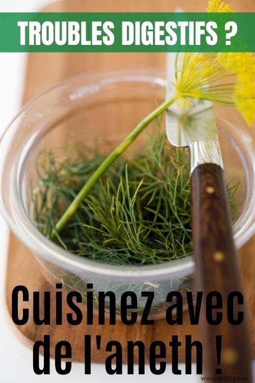 10 Science-Backed Healing Herbs: Choose the Right One for Your Symptoms