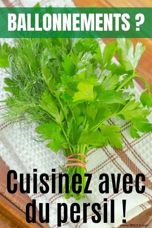 10 Science-Backed Healing Herbs: Choose the Right One for Your Symptoms