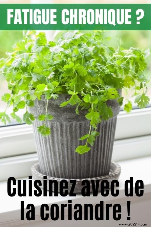 10 Science-Backed Healing Herbs: Choose the Right One for Your Symptoms