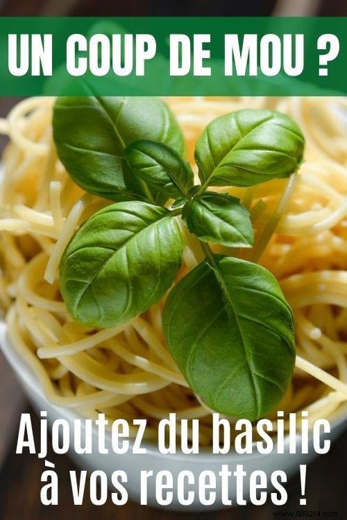 10 Science-Backed Healing Herbs: Choose the Right One for Your Symptoms