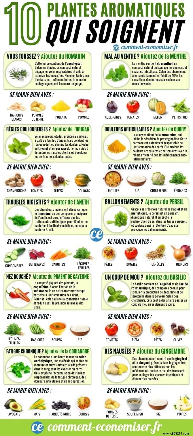 10 Science-Backed Healing Herbs: Choose the Right One for Your Symptoms