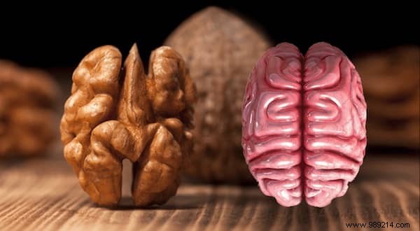8 Foods That Resemble and Support the Organs They Mimic: Backed by Science