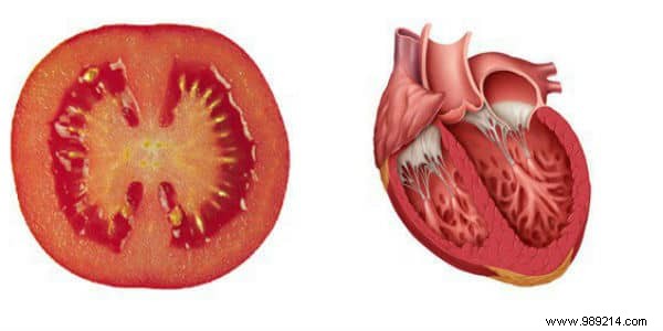 8 Foods That Resemble and Support the Organs They Mimic: Backed by Science