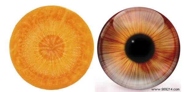 8 Foods That Resemble and Support the Organs They Mimic: Backed by Science