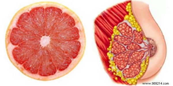 8 Foods That Resemble and Support the Organs They Mimic: Backed by Science