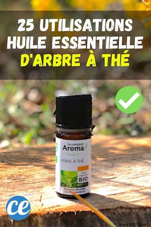 25 Proven Uses for Tea Tree Essential Oil: Benefits from Real Experience