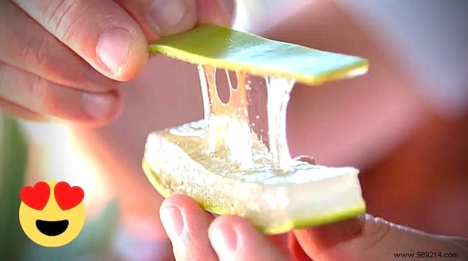 5 Expert-Approved Natural Lubricants from Your Home for Safe Intimacy