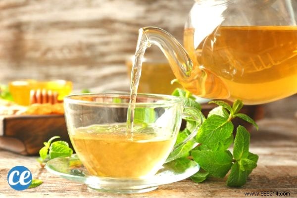 15 Proven Benefits and Uses of Lemon Balm: Insights from a Seasoned Herbalist
