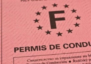 How to Check Points on Your French Driving License for Free: Proven Methods