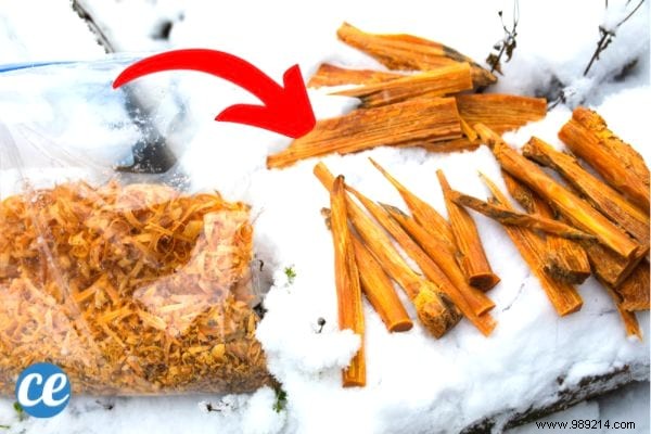 16 Proven Ways to Light a Fireplace Without Kindling or Fire Starters