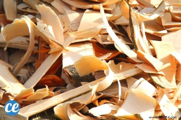 16 Proven Ways to Light a Fireplace Without Kindling or Fire Starters